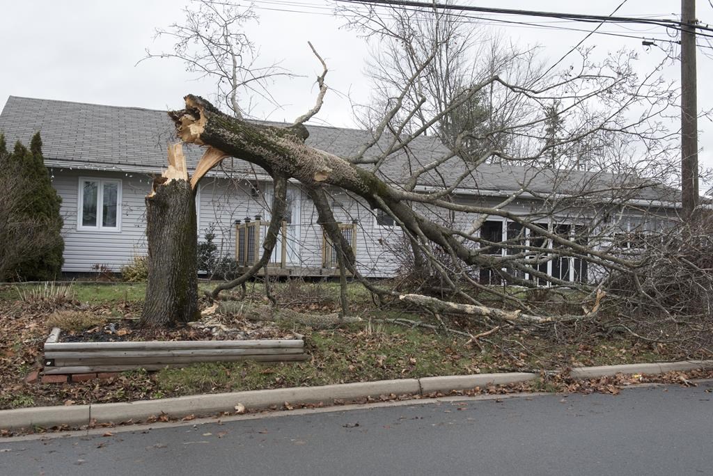 След силен вятър и дъждовна буря обхванали морския регион в