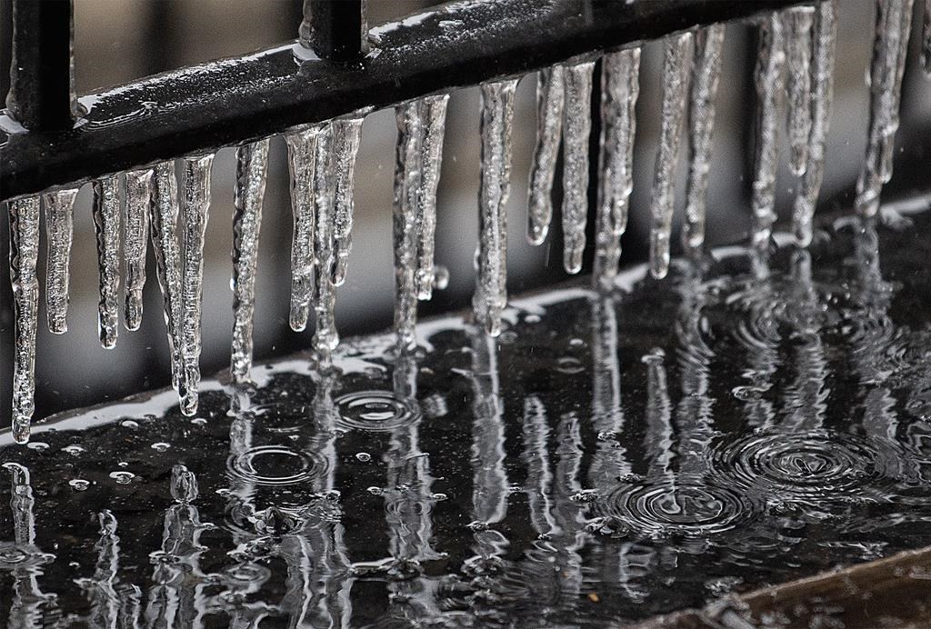 Melting icicles.