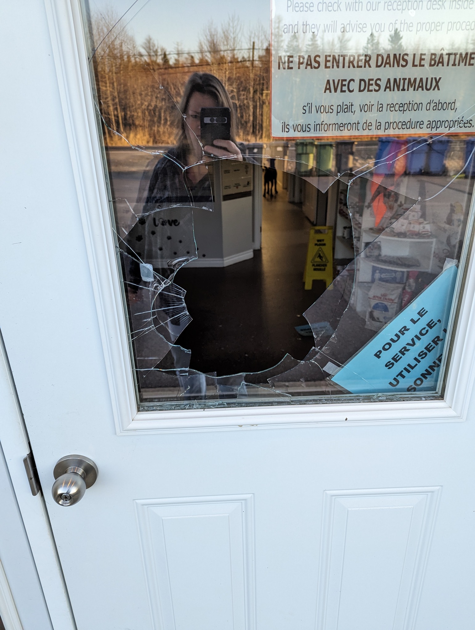 Необичайна кражба в приют за животни в Ню Брънзуик разби