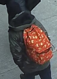 Guns among ‘a number of items’ stolen from storage locker in Toronto building: police - image