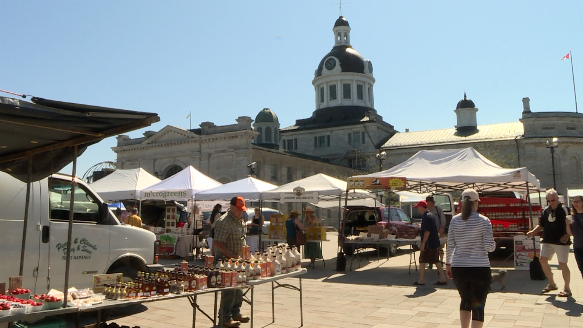 City of Kingston set to take over public market day-to-day operations