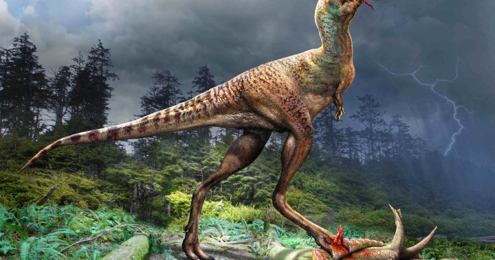 „Привърженик на тъпаните“: палеонтолозите от Royal Tyrell правят ново откритие в диетите на тиранозаврите