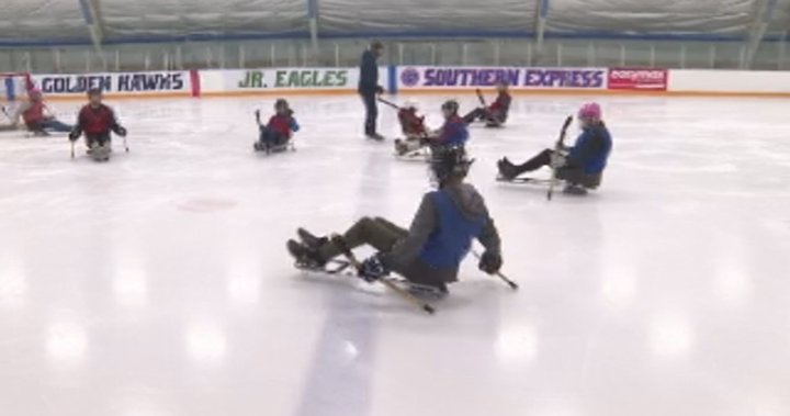 Alberta Health Services offers free introduction to para hockey in Lethbridge