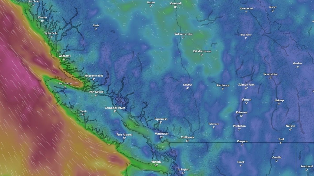 A screenshot showing weather conditions across British Columbia on Friday, Dec. 29, 2023.
