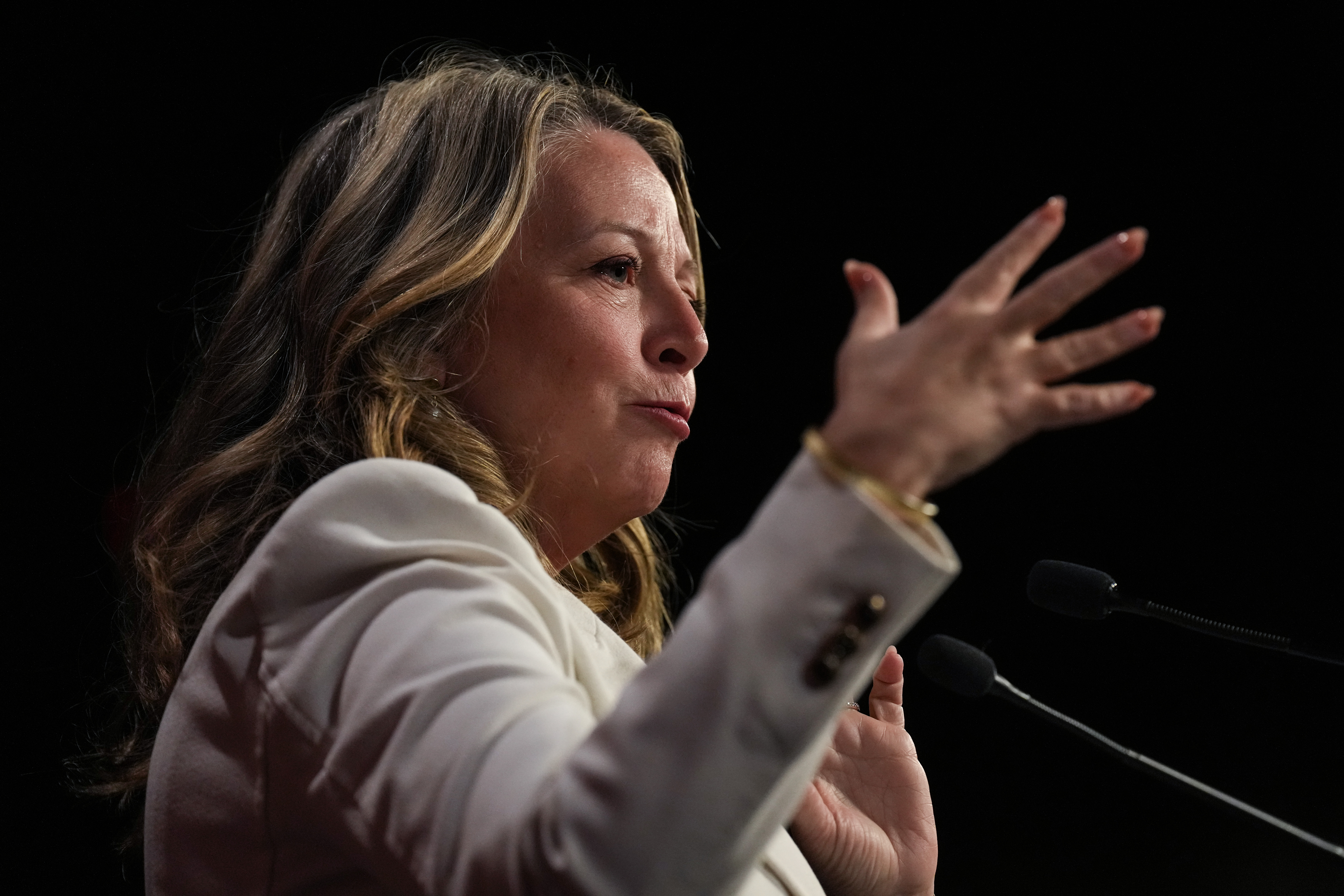 Първата година на Марит Стайлс като лидер на лоялната опозиция