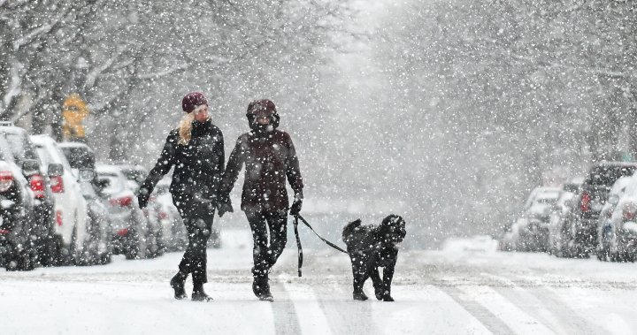 Снежна буря оставя десетки хиляди на тъмно в Южен Квебек