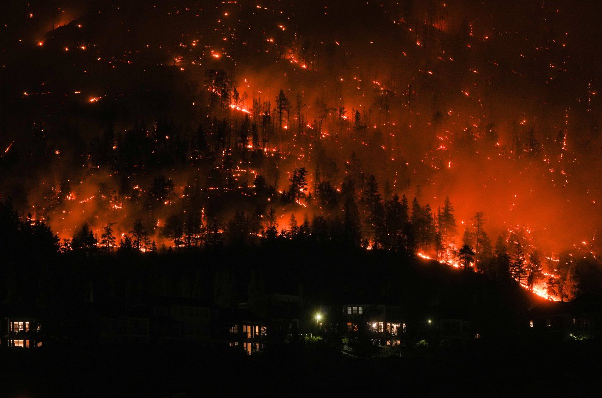 One year later, recovery in scorched path of McDougall Creek wildfire ...