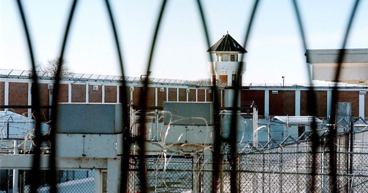 去年12月在萨斯喀彻温监狱查获超过45万加元的违禁品