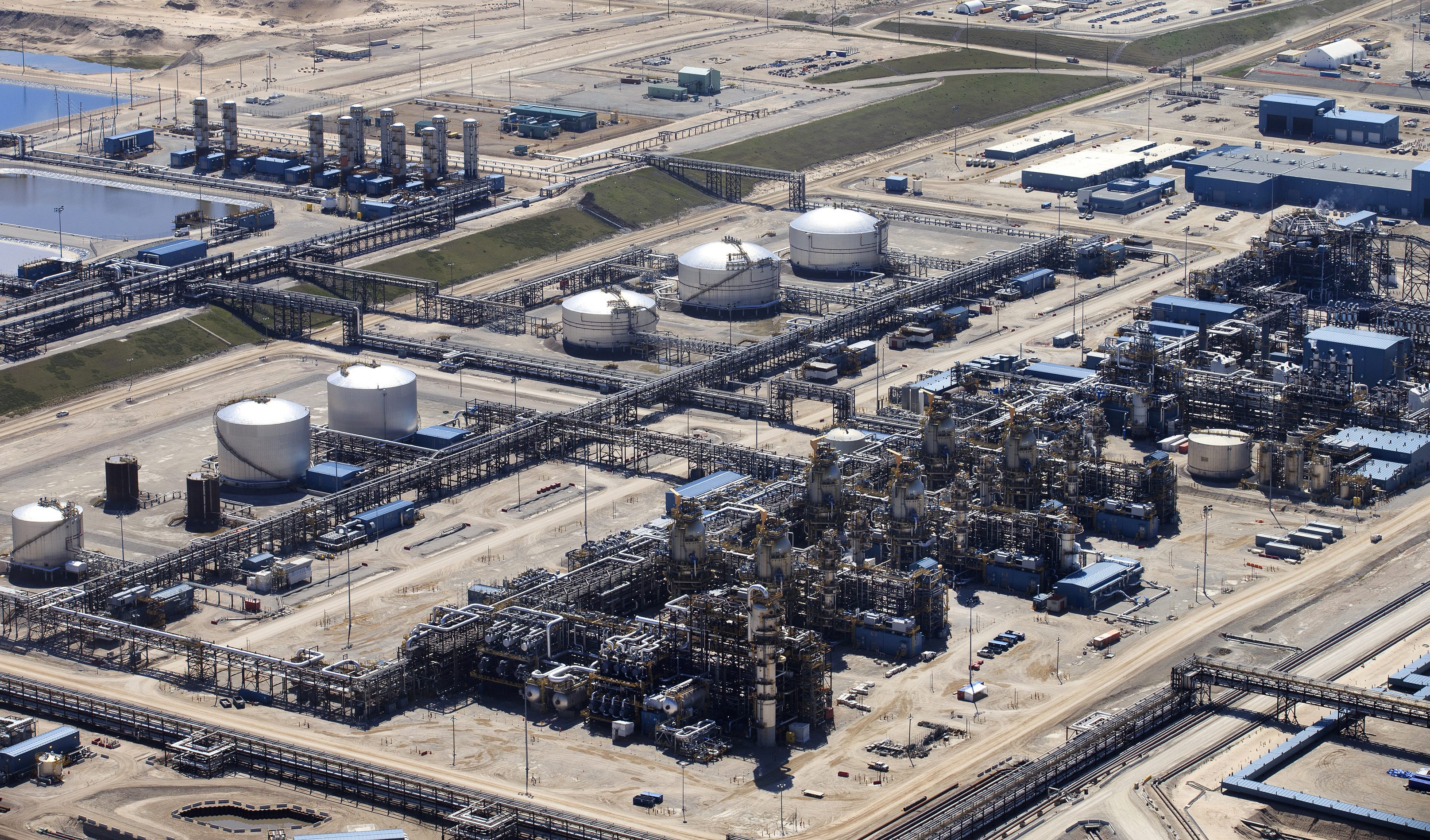 Черна мечка е евтаназирана след като екипажи по невнимание повредиха