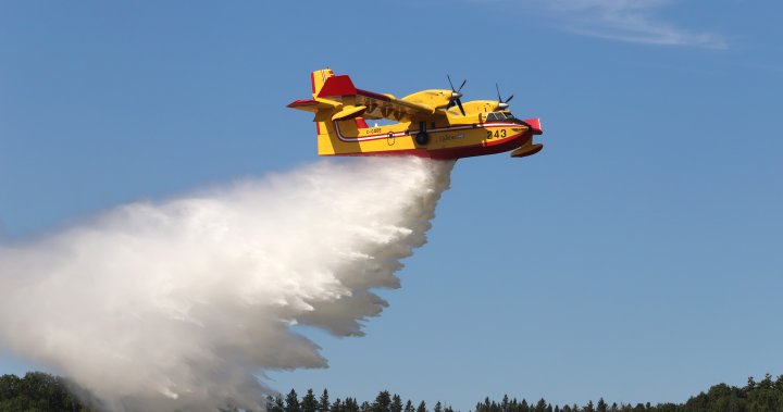 加拿大的水上灭火飞机能否应对气候变化引发的野火？