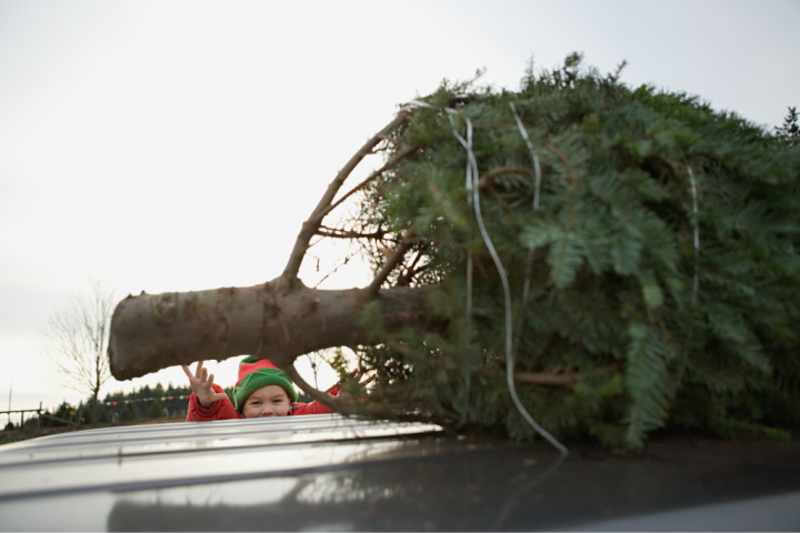 Christmas tree recycling program returns to Central Okanagan
