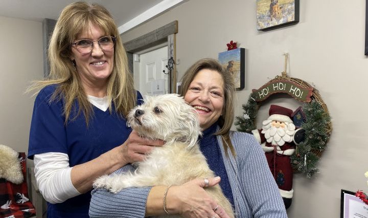 Този празничен сезон носи шанс за променящ живота подарък за