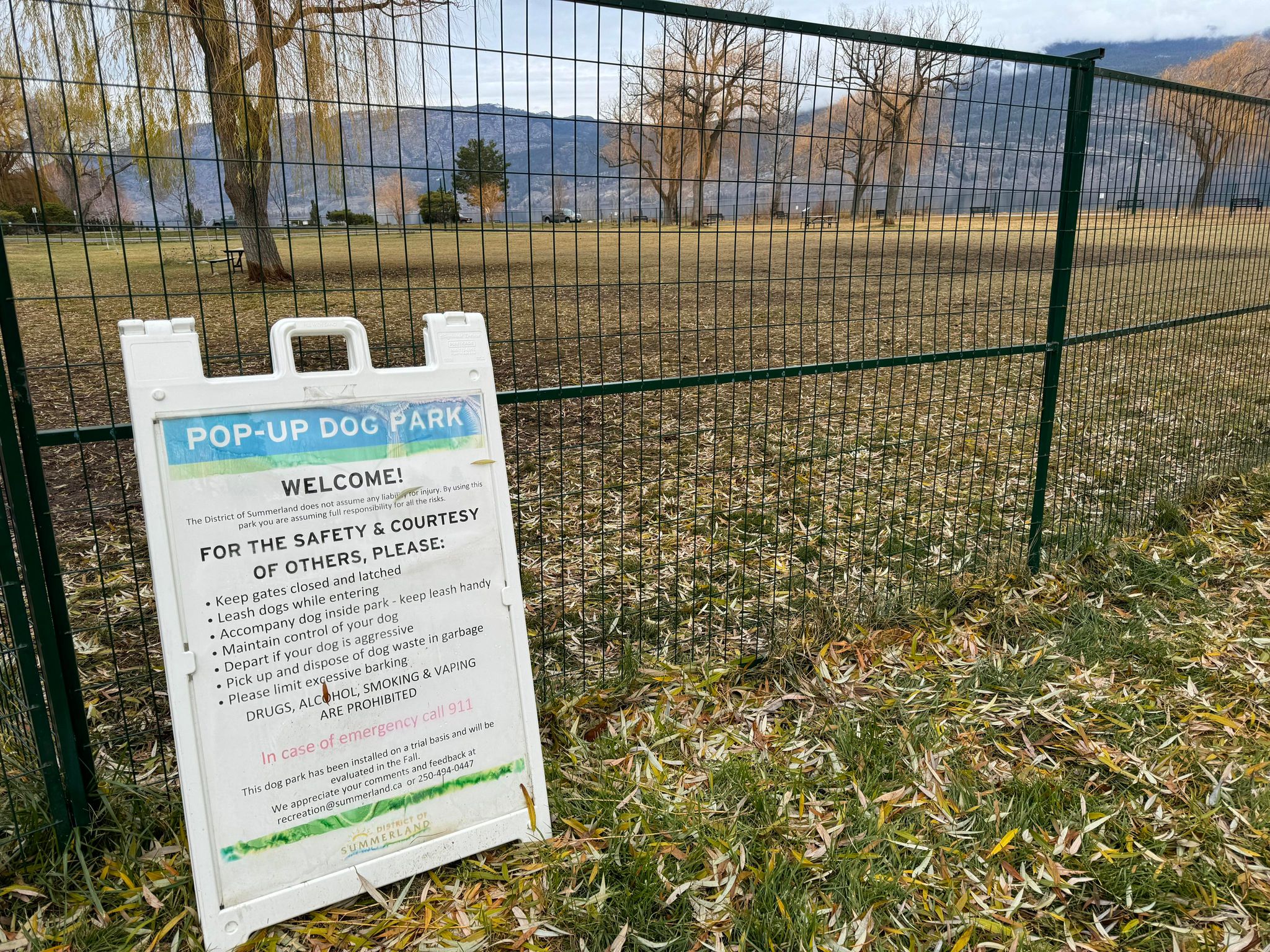 Намирането на постоянно място за повече зони за кучета без