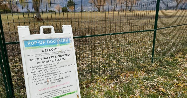 Продължава спорът относно местоположението на постоянен парк за кучета в Съмърленд, Британска Колумбия