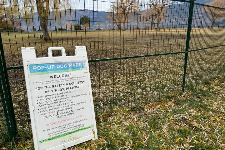 Dispute continues over permanent dog park location in Summerland, B.C.