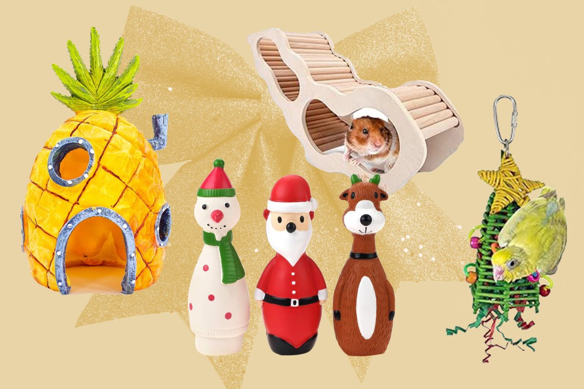 Pet gift ideas with a pineapple house for fish, squeaky christmas-themed dog toys, a hamster house and bird toy