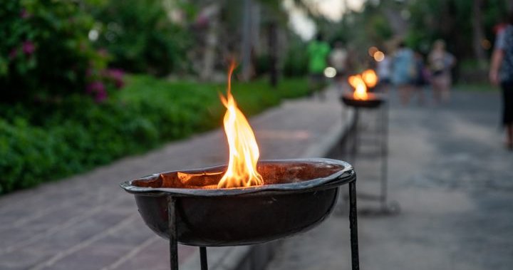 Грешните горива за огнища могат да доведат до „пламъчна струя“, предупреждава Health Canada