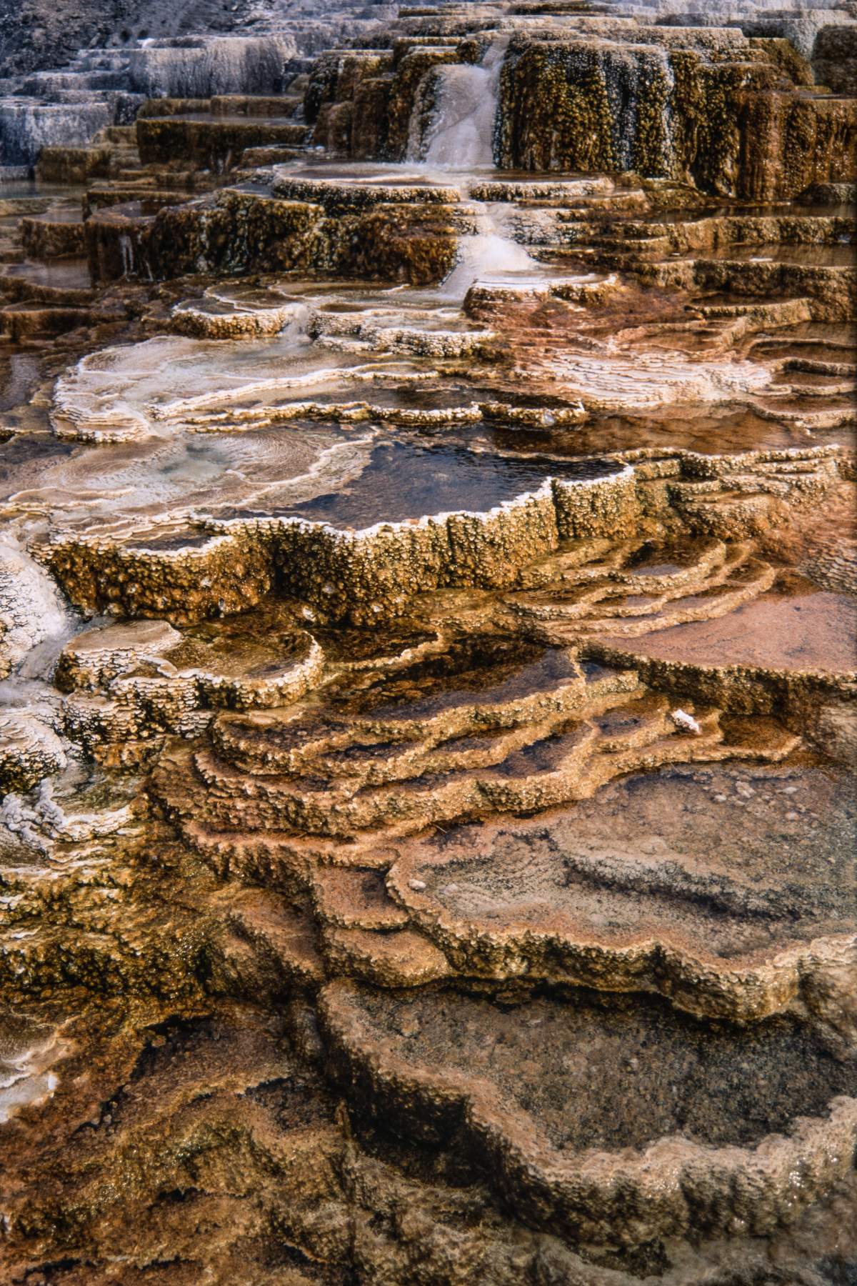Colorful mineral formations on rock.