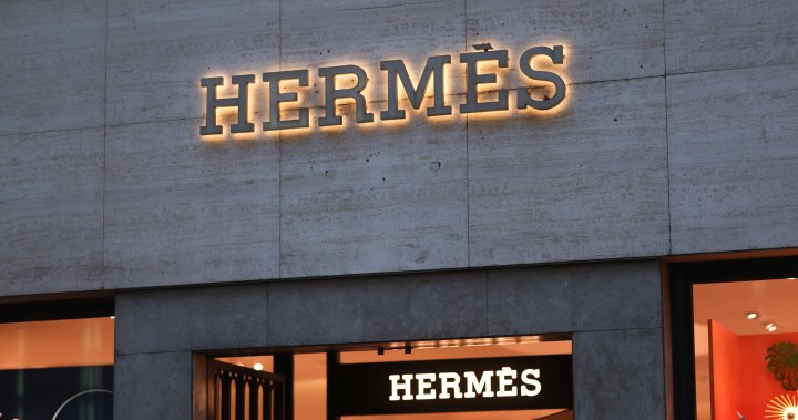 Hermès heir plans to give half his $14 billion fortune to his gardener – National