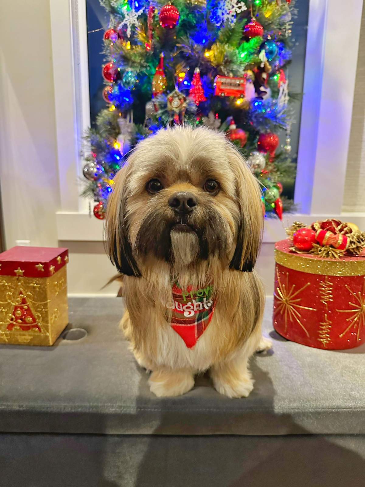 —Ray and Gay Plamondon, Ladysmith , B.C.