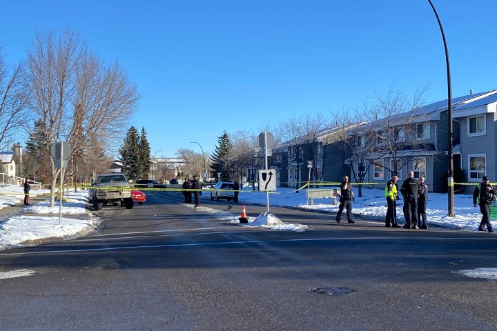 2 in custody following ‘pedestrian incident’ in northeast Calgary: police