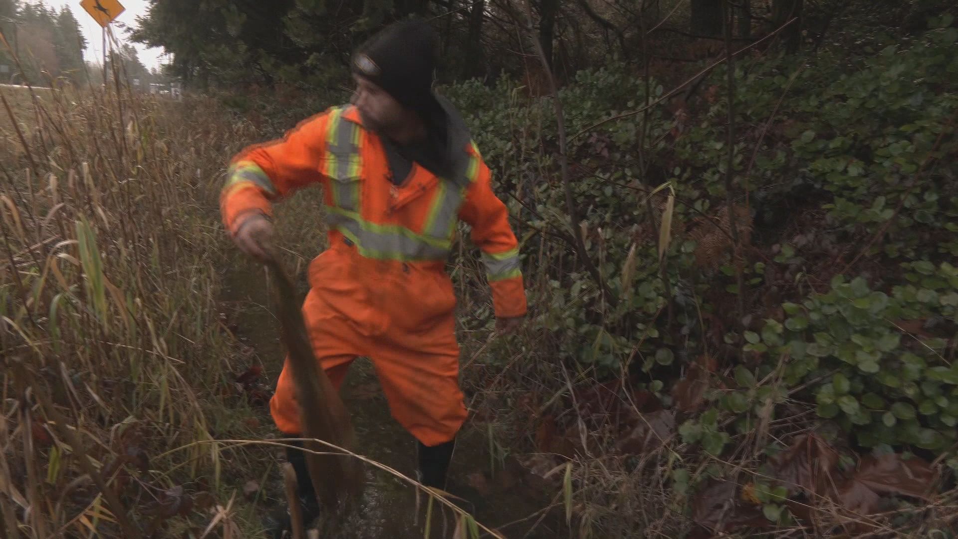 Бездомен мъж от остров Ванкувър печели много признание за работата