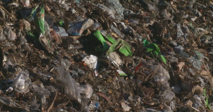 里贾纳垃圾填埋场将作为临时堆肥设施使用一年的时间