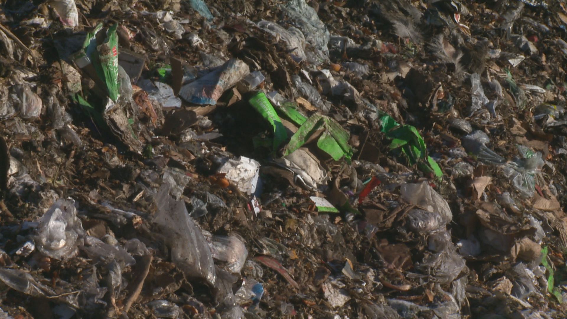 Regina landfill to serve as temporary composting facility for up to a year