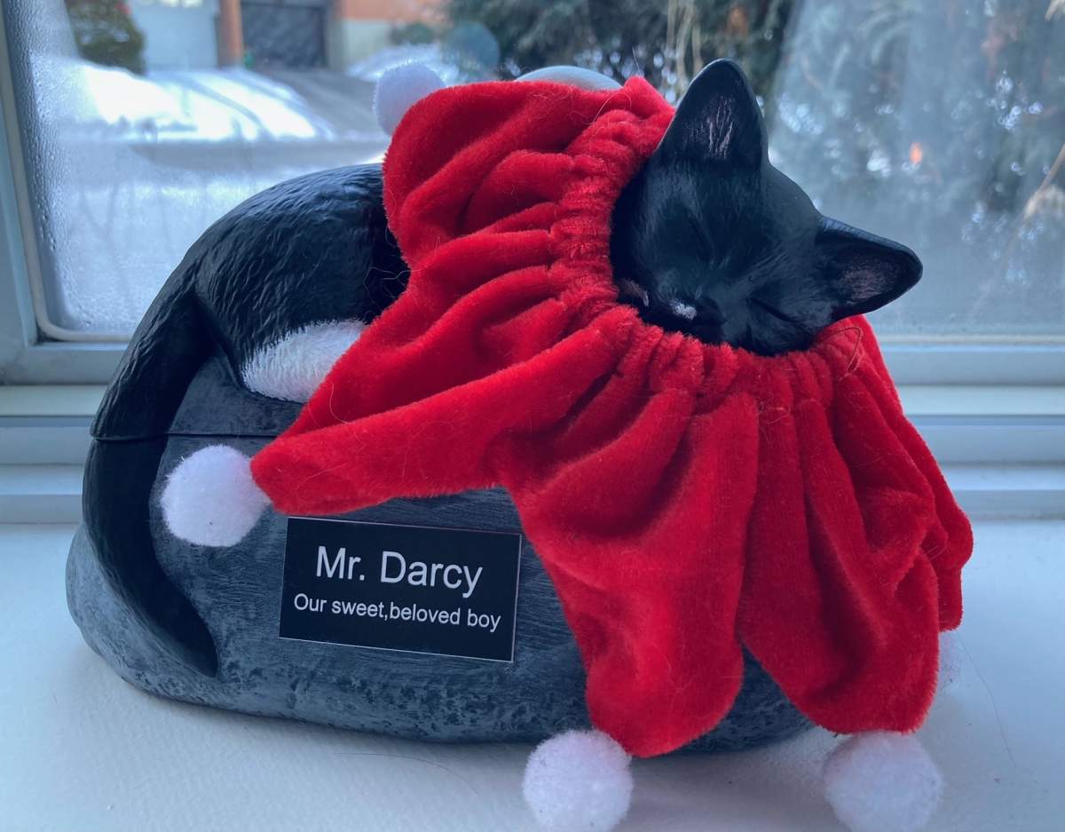 —Amanda C., Ottawa