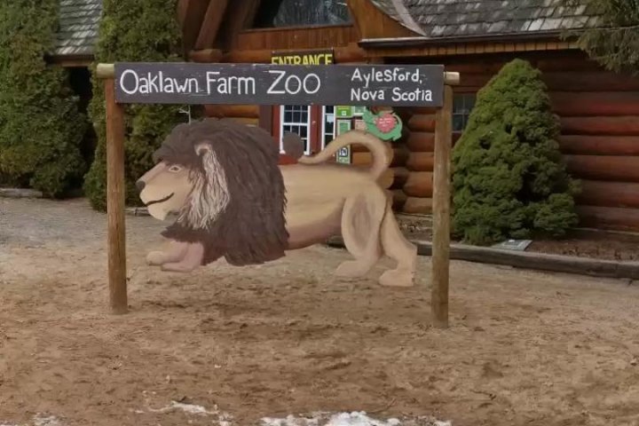 Oaklawn Farm Zoo, a childhood staple in N.S., to permanently close its doors