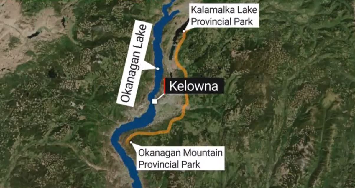 Action plan launched to protect wildlife corridor in the Okanagan
