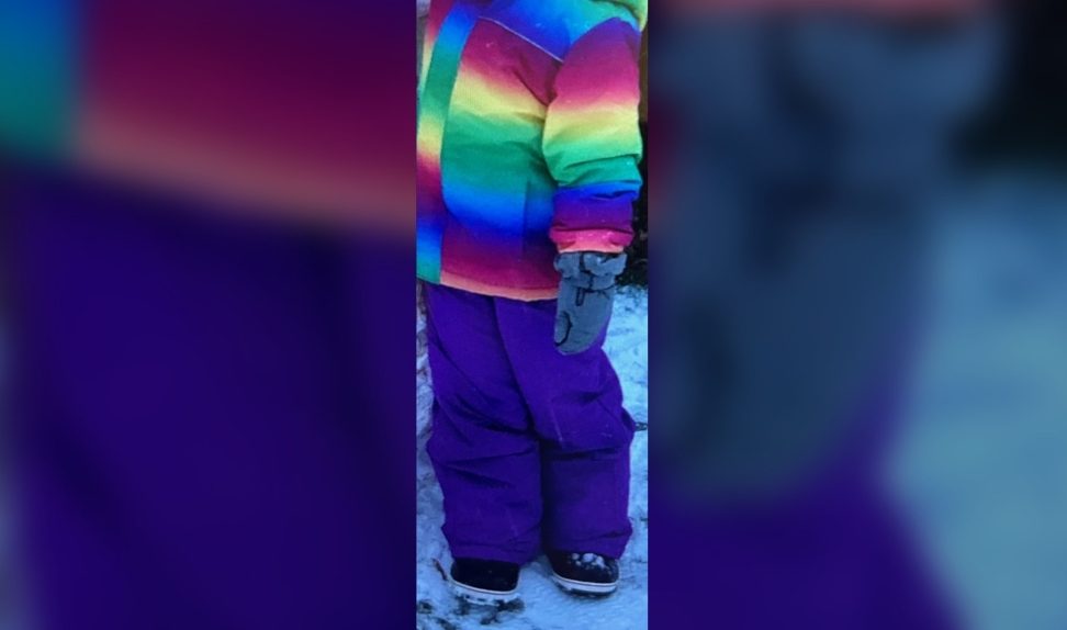 Authorities published photos of the snowsuit the girl was wearing, including a rainbow coat and violet snow pants, and asked the public to report any sightings along the river.