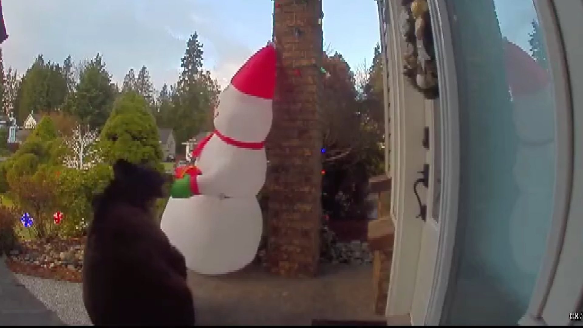 По това време на годината много хора обичат да разглеждат