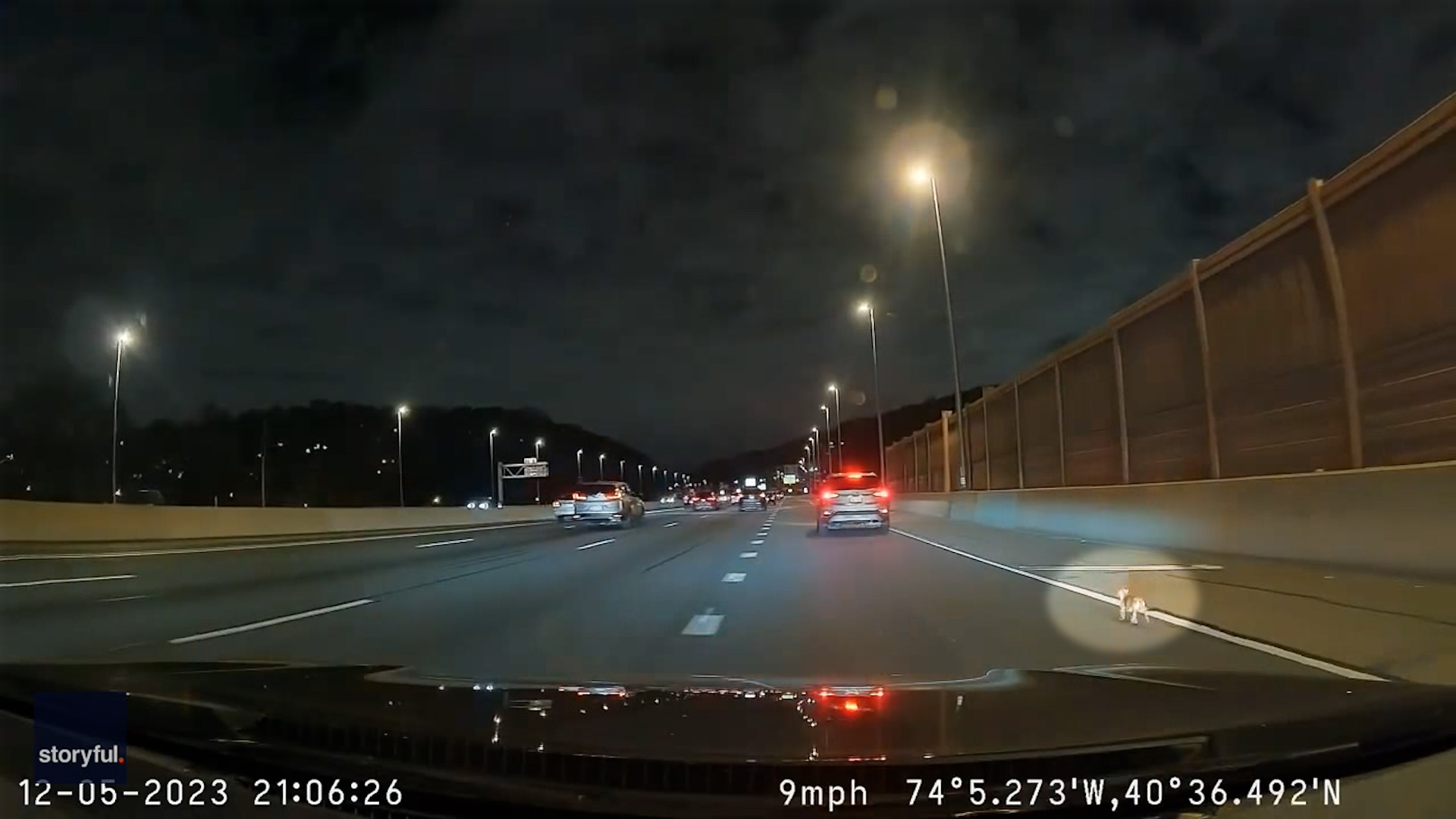 Група шофьори в Ню Йорк се обединиха наскоро за да