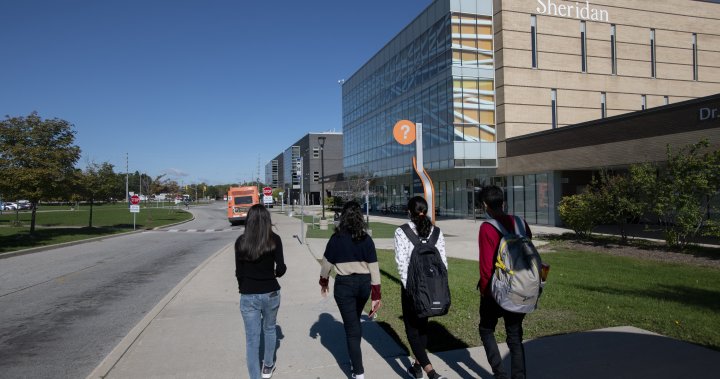 限制学生签证可能给安大略省的大学带来财务灾难，代表说 | Globalnews.ca