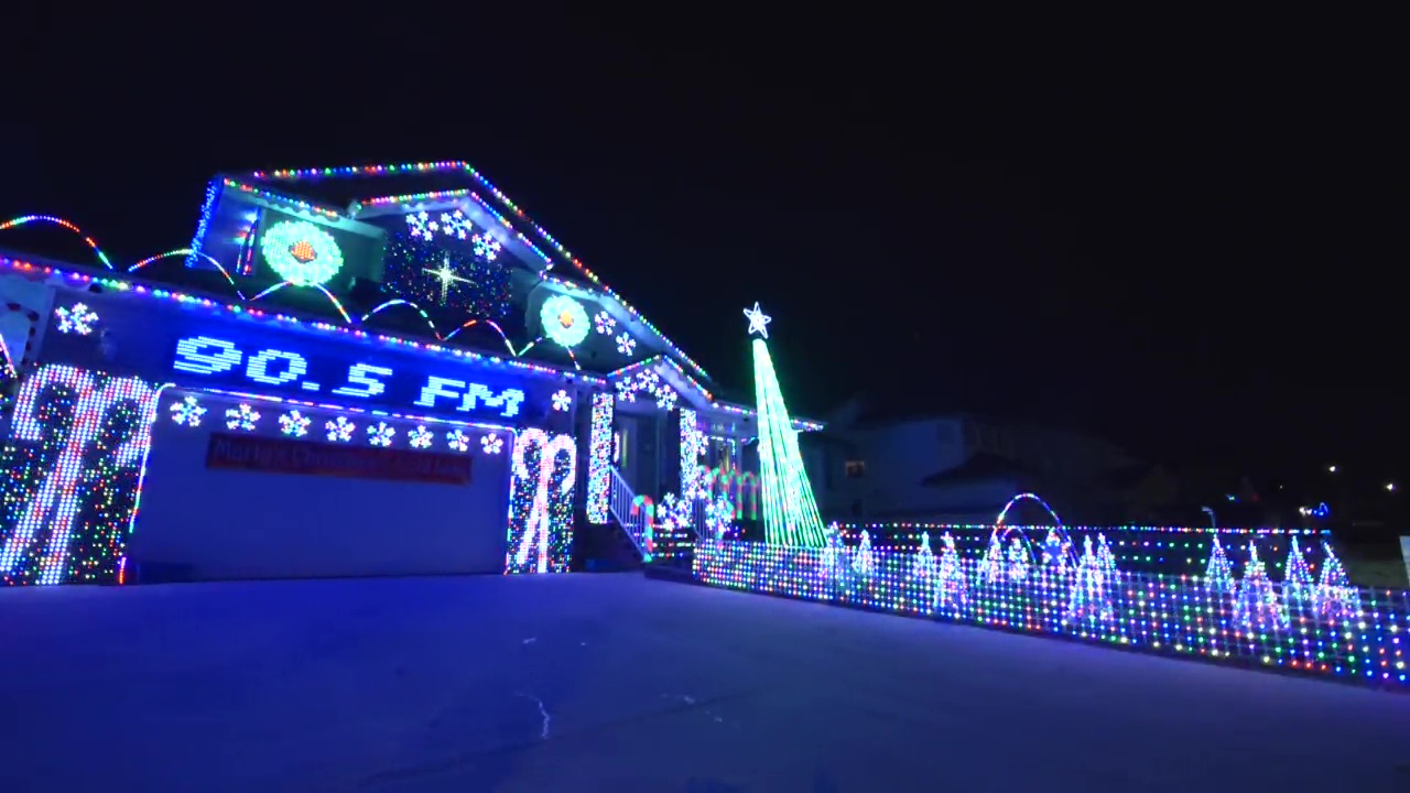 Трудно е да се пропусне Добре познатият жител на Колд