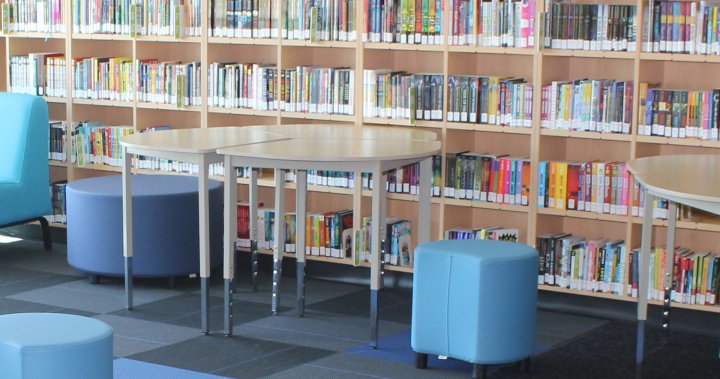 Съвместното проучване на колежа Mohawk и Обществената библиотека на Хамилтън търси модел за подпомагане на обгрижващите студенти