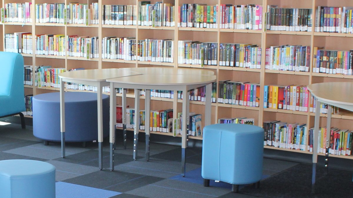 Mohawk College and Hamilton Public Library are moving forward on an initiative to provide supports for students who have to care for dependents while seeking an education.