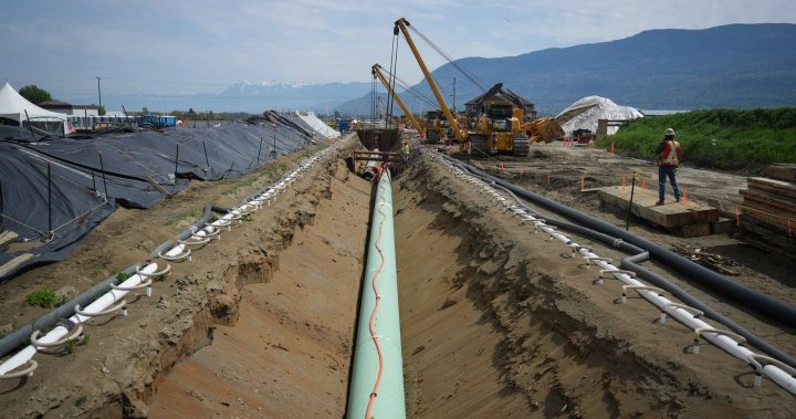 Компанията изграждаща тръбопровода Trans Mountain представи доказателства в подкрепа на