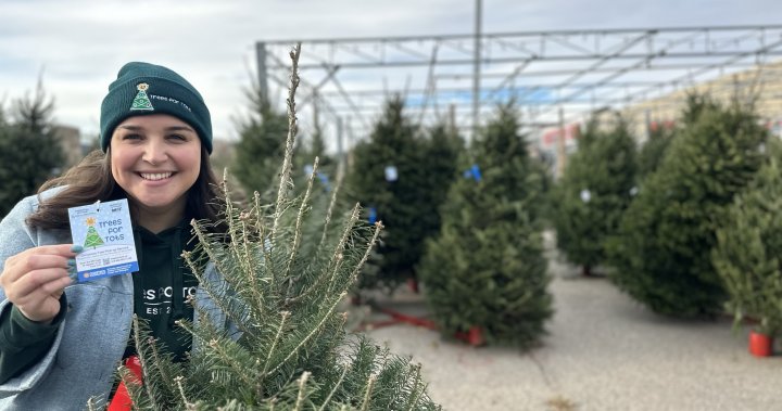 Have your Christmas tree taken away to help Children’s Foundation Guelph Wellington