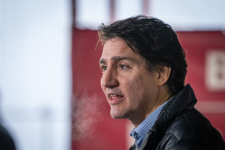 COVID-19 leaves lessons to learn, Trudeau says amid rapid test controversy