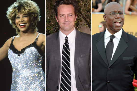 A composite image of Tina Turner, Matthew Perry and Andre Braugher.