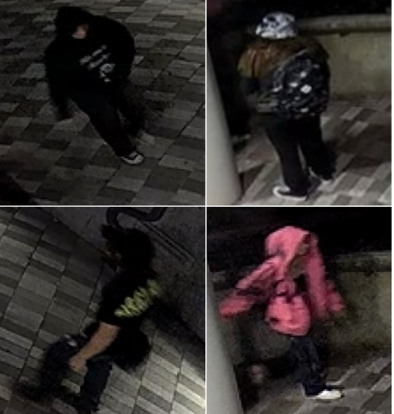 West Vancouver police are seeking assistance identifying four possible witnesses seen leaving the area of an arson near the Horseshoe Bay ferry terminal on Sept. 21, 2023.