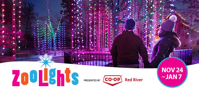 Zoo Lights - image