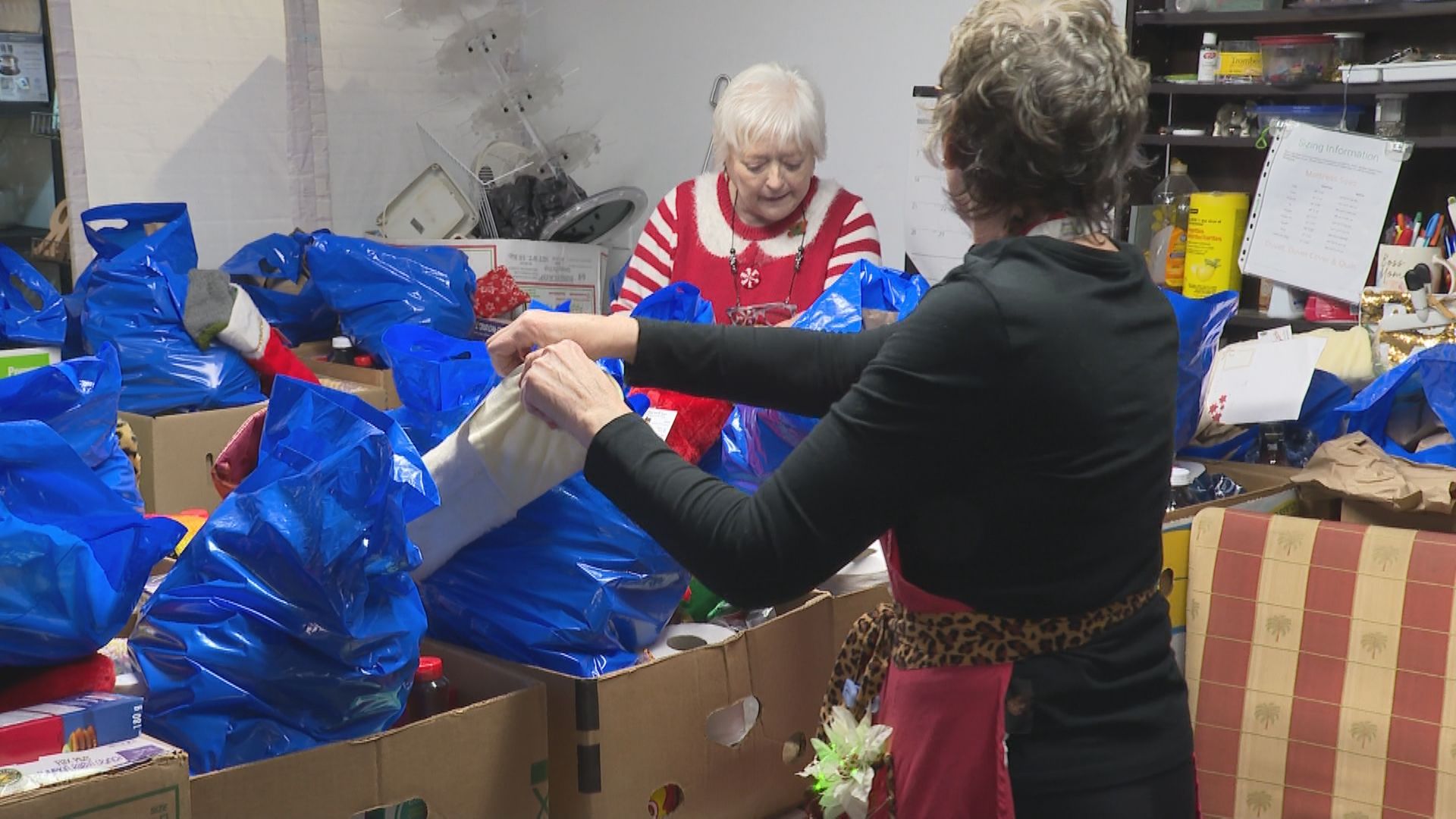 Във времена на криза екипът зад Animal Auxillary се впуска