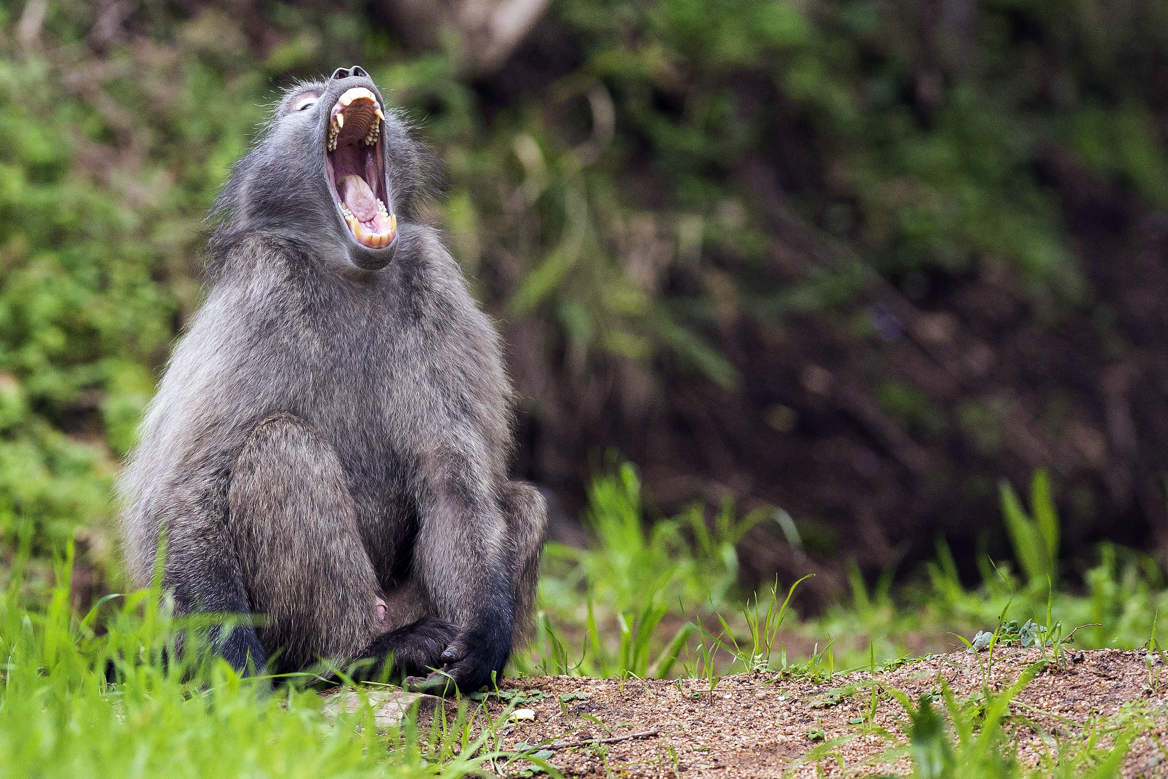 Град в Онтарио се бори да напише — и пренапише