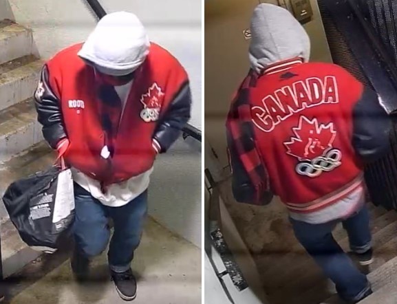 Police say they're trying to identify two suspects wanted after a break-in where a number of items were stolen, including two guns.