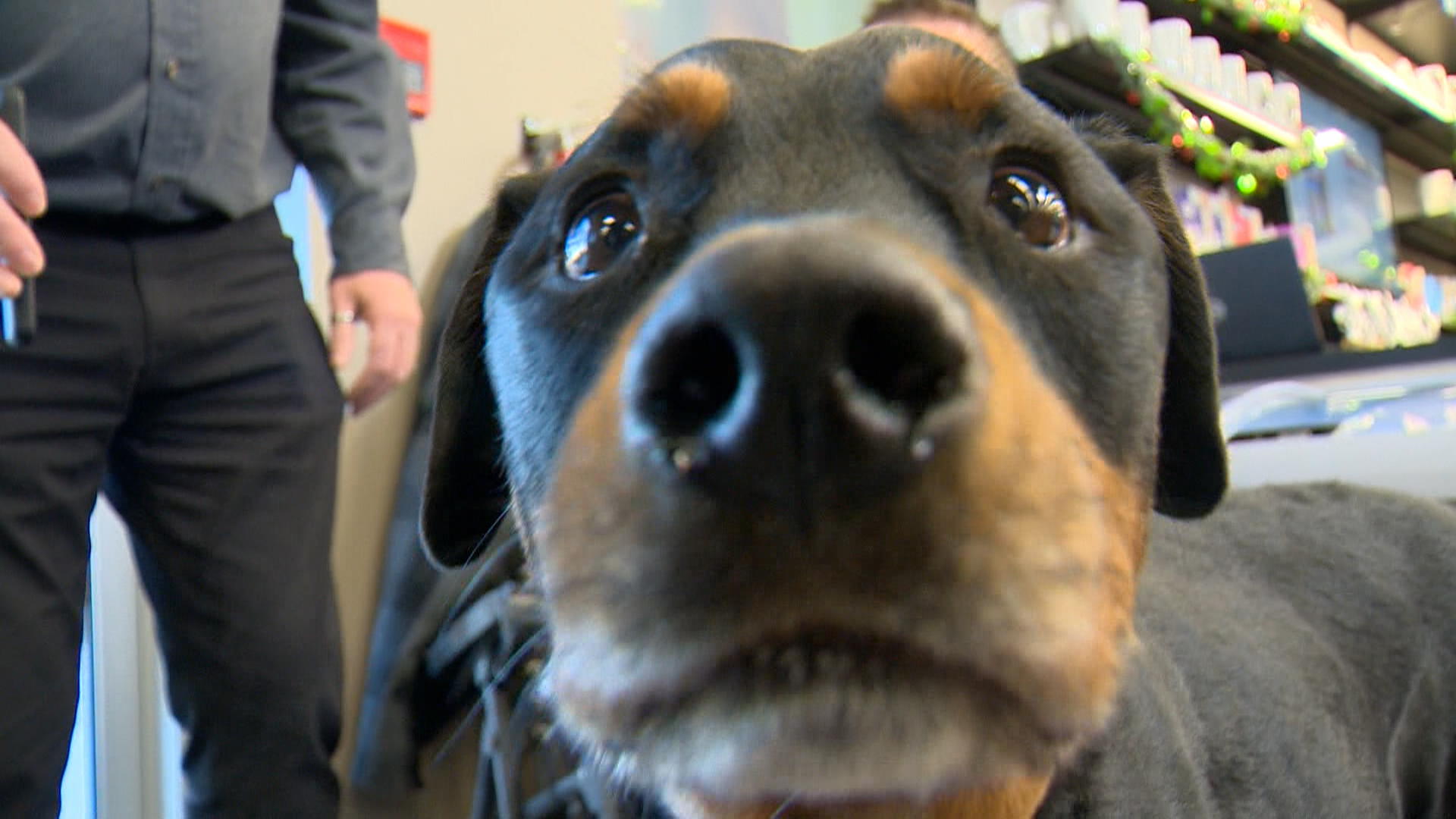 Реших че най добрият начин да му дам подобаващо сбогом е