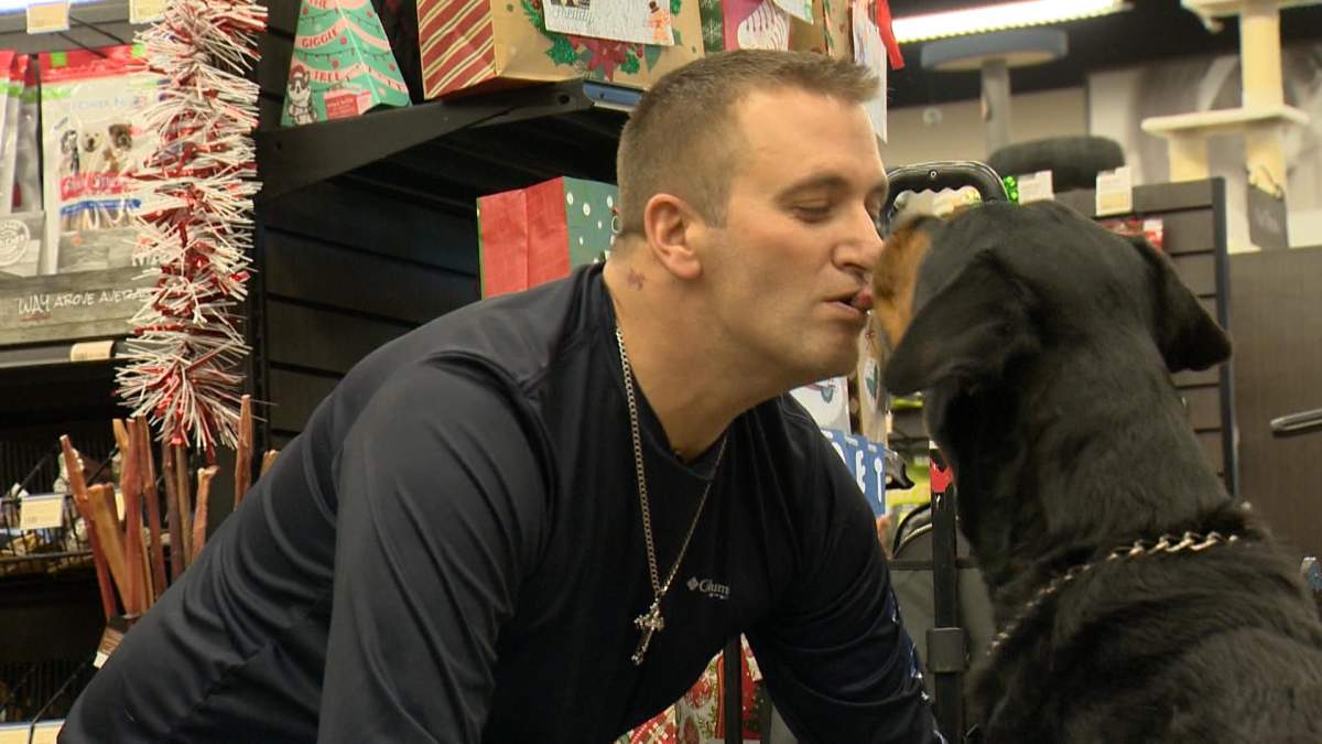 Brutus was diagnosed with terminal cancer in his lymph nodes, and his owner is looking to make the best of his last days.