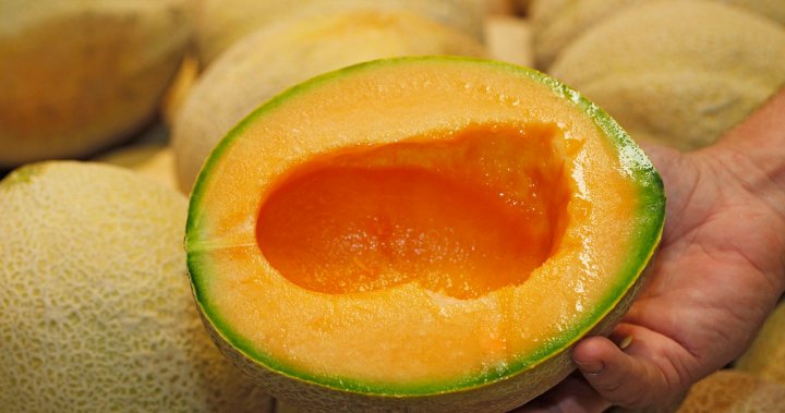 Six deaths now reported in cantaloupe salmonella outbreak: PHAC